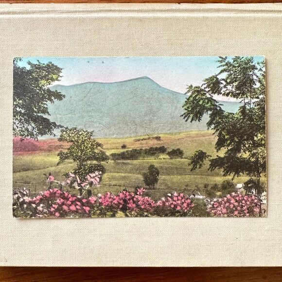 Massanutten Springs Station Harrisonburg Virginia Postcard - Picture 13 of 14